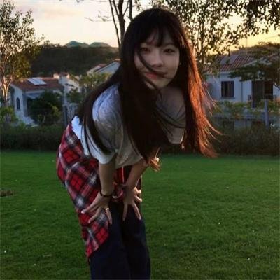 龙虎双侠